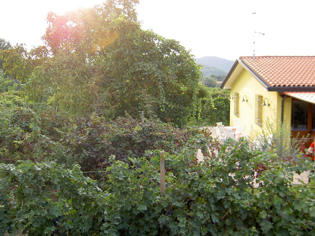 Agriturismo Monteortone Abano Terme Eksteriør billede
